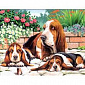 Набір для творчості Sequin Art PAINTING BY NUMBERS SENIOR Гончі Бассет SA0044 - фото 1