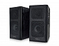Акустическая система REAL-EL S-250 Black UAH - фото 1