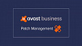 Avast Patch Management 1-4 PC, 1 year (Avast-PM-(1-4)-1Y)