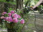 Шланг для поливу Karcher Performance Premium 1/2 - 20м - фото 2