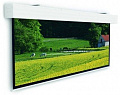 Моторизированный экран Projecta Elpro Large Electrol 316x500cm