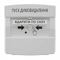 Адресная кнопка управления автоматикой DETECTO BTN 110
