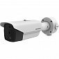 Тепловізійна IP-відеокамера Hikvision DS-2TD2117-10/PA для системи відеоспостереження - фото 1