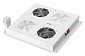 Панель вентиляторів DIGITUS 19" Roof, 2 fans, thermostat, RAL 7035 - фото 1