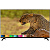 Телевiзор Bravis UHD-50H7000 Smart + T2