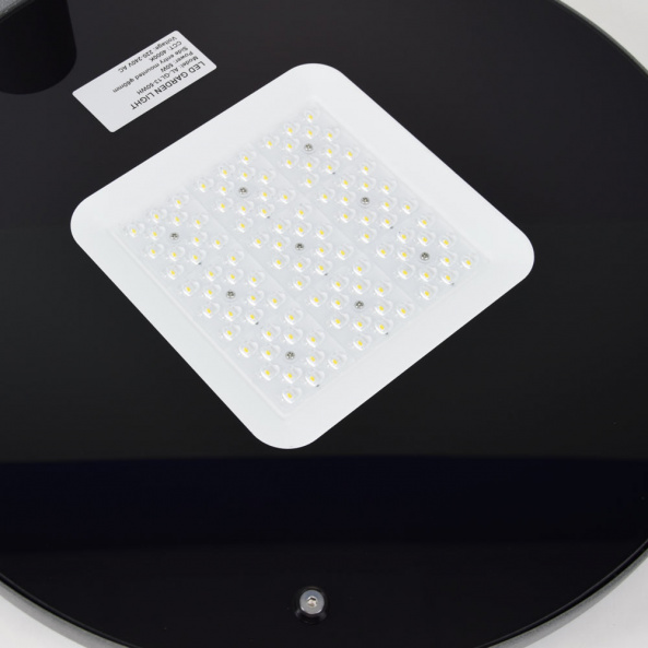 Светильник светодиодный парковый Lightwell LW-GL-50F - фото 2