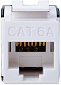 Модуль DIGITUS Keystone RJ45 UTP Cat.6a - фото 1