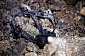 Ліхтар Varta Indestructible H20 Pro LED 3хААА - фото 4