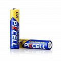 Батарейка PKCELL AAA/R03 2шт