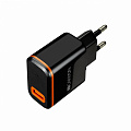 Мережевий зарядний пристрій Canyon (1USB, 2.1A) Black/Silver (CNE-CHA042BO) + кабель USB Type C