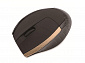 Мишка Aneex E-M550 Black/Gold USB - фото 1