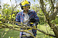 Пила ланцюгова Karcher CNS 18-30 Battery, 18В, solo (без АКБ і ЗУ) - фото 2