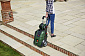 Мойка высокого давления Bosch Advanced Aquatak 140, 2100Вт, 140 бар, 450 л/ч, 17.6 кг - фото 5