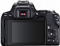 Цифр. фотокамера зеркальная Canon EOS 250D kit 18-55 DC III Black - фото 3