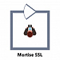 Ригельный замок ATIS Lock Mortise SS-L врезной для системы контроля доступа - фото 5