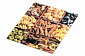 Ваги кухоннi Ardesto SCK-893PASTA - фото 3